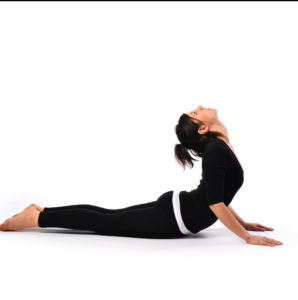 Prone Asanas (Postures Done While Lying on the Stomach)