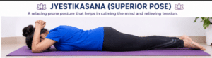 Jyestikasana (Superior Pose)